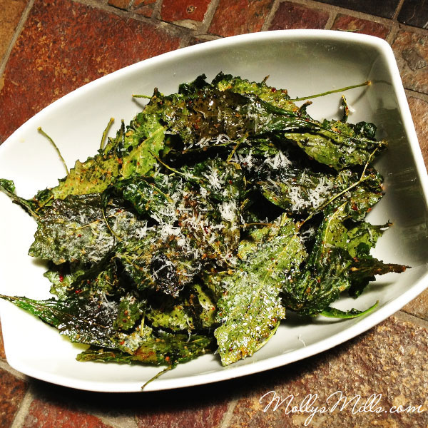 Molly's Mills Kale Chips